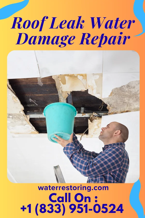 Roof Leak Water Damage Repair in Topeka, IN